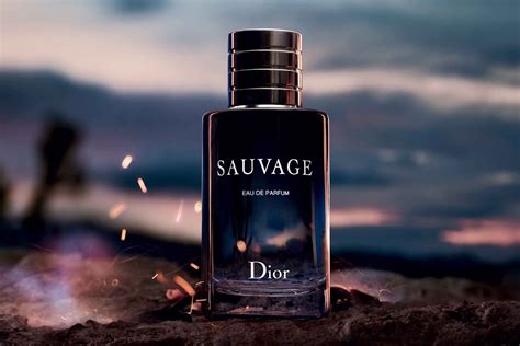 dior sauvage impression|dior sauvage best price.